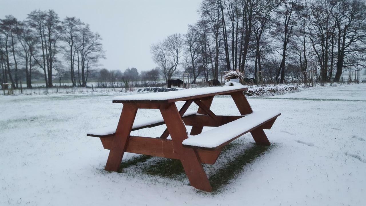 Emsdune Oberlangen Kültér fotó